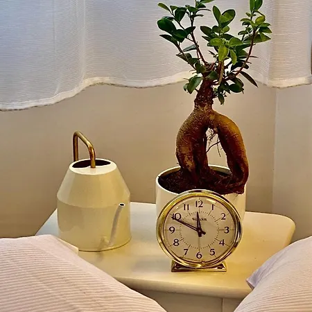 Ars Longa Apartma
